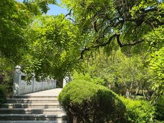 -汤山公园