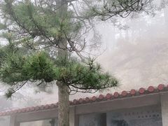 -庐山风景区花径公园