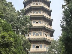 -灵谷景区