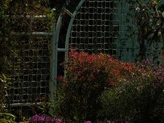 -国家植物园南园