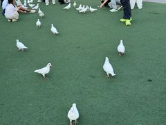 -华谊兄弟（长沙）电影小镇