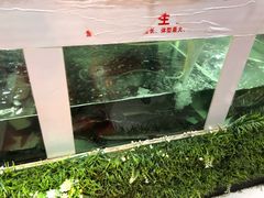 -秋语木桶鱼.酸菜鱼(开发区火车站店)