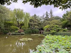 -秋霞圃