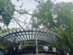 -海上云台山景区