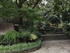 -杭州半山国家森林公园