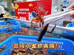 -盒马鲜生(财富中心店)