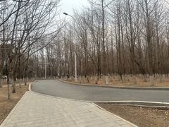 -长白岛森林公园