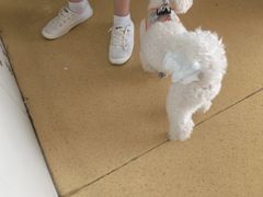 -百慈·博爱动物医院·CT·微创手术(雁滩店)