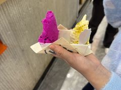 -野人先生现做冰淇淋(西安赛格店)