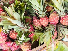 -Co.opmart (Cong Quynh)