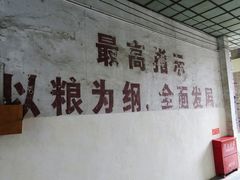 -枫泾古镇-人民公社旧址