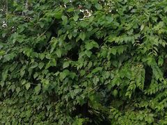 门面-斯多格书乡(北京大学畅春园店)