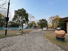 -上海海湾国家森林公园