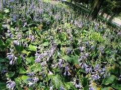 -辽东学院(南校区)