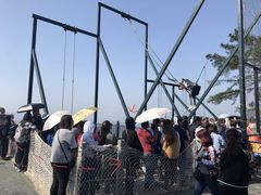 -梦幻奥陶纪景区