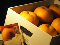 -拾久(朝阳公园店)