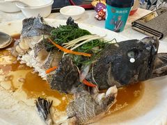 -莲花公园煎蟹(总店)