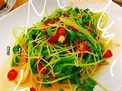 炝炒黑豆芽-新疆巴州金丝特餐厅(大钟寺店)