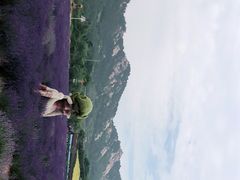 -西海岸生态观光园