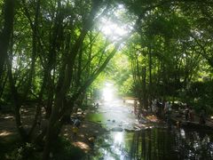 -西溪南古村落
