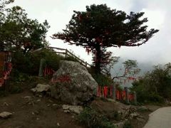 -牛背梁国家森林公园