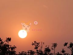 -梦之蓝青奥体育公园体育馆