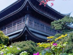 -龙华素斋(龙华路店)