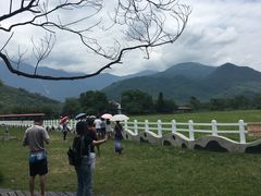 -瑞穗牧场