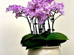 -十一咖啡(青年大街工厂店)