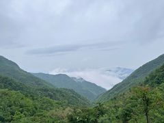 -东白山