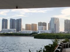 -五缘湾湿地公园