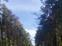 -黑龙江省森林植物园