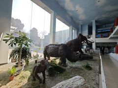 -中国第四纪冰川遗迹陈列馆
