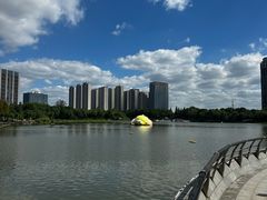 -南翔镇银翔湖公园