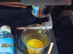 -新加坡航空公司(ION)