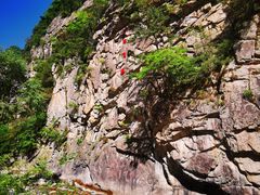 -青峰峡国家森林公园