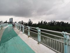 -万绿园