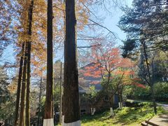 -莫干山风景区