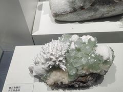 -重庆自然博物馆(新馆)