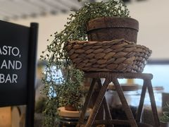 -悉尼塔旋转餐厅