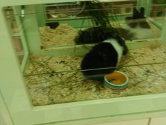 -龙猫仔乐园(惠福东路店)