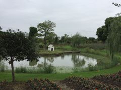 -鹅湖玫瑰文化园