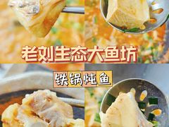 -老刘生态大鱼坊铁锅炖鱼(赛马场店)