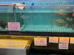 -荔城生鲜盛宴(番禺旗舰店)