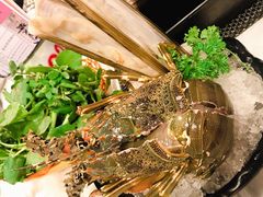 -鲜入围煮花胶鸡海鲜火锅