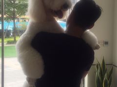 -爱诺耐芙动物医院(万博店)