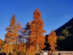 -广州市石门国家森林公园