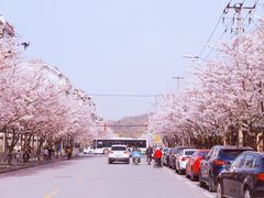 -永乐路-路侧停车场