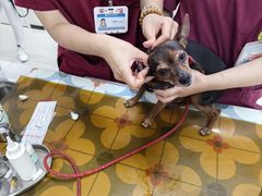 -美联众合动物医院·24h京西诊疗中心