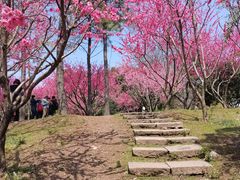 -桃源居(蠡园店)